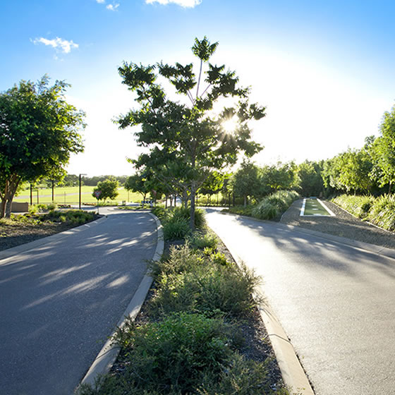 Elysium Community landscaped driveway and footpath