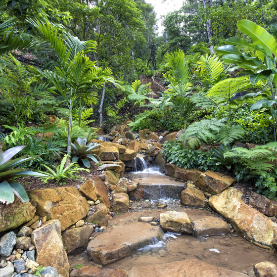 Range Rd, Eumund - landscaped tropical waterfall